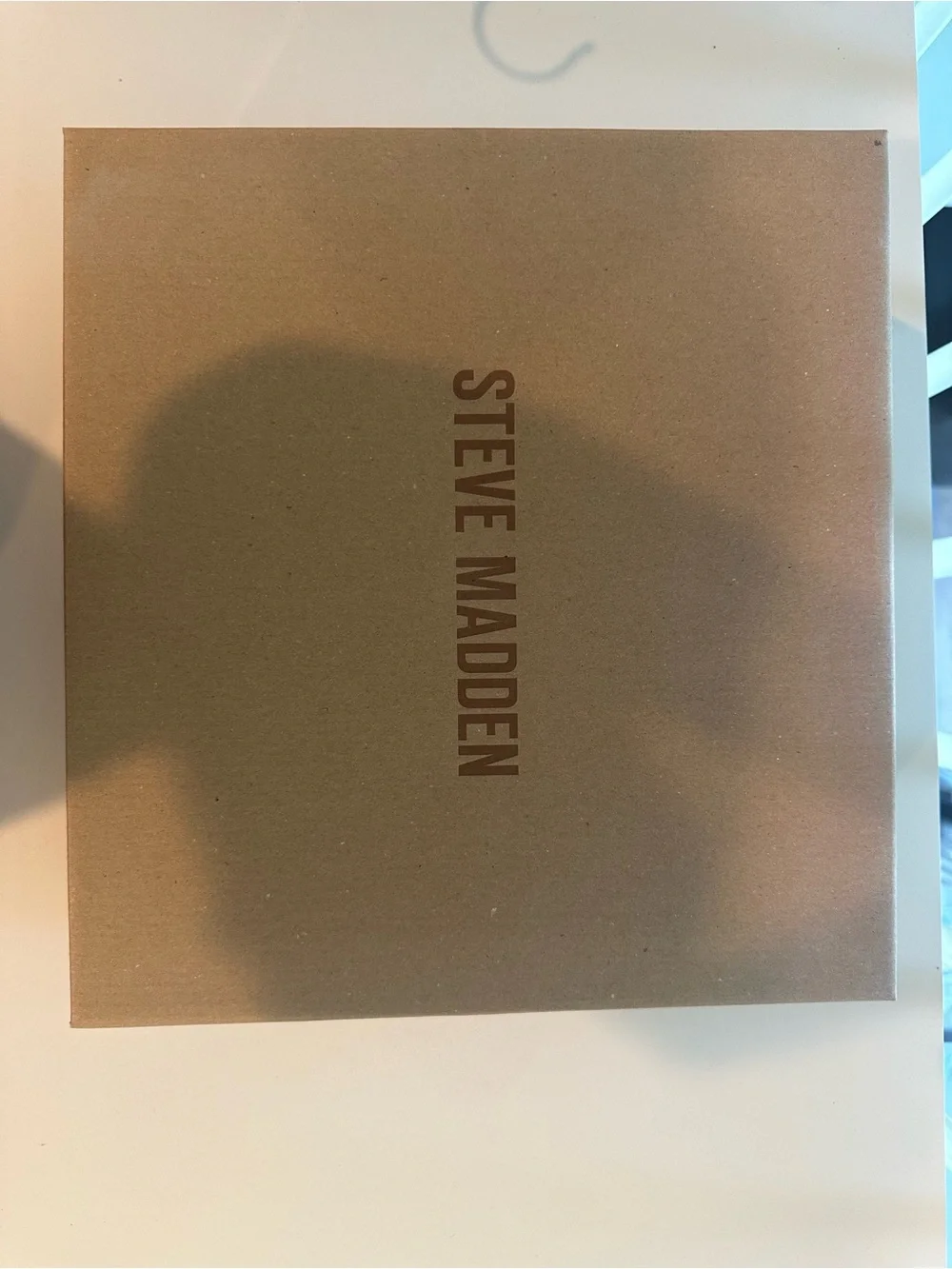 Steve Madden sleek pointed