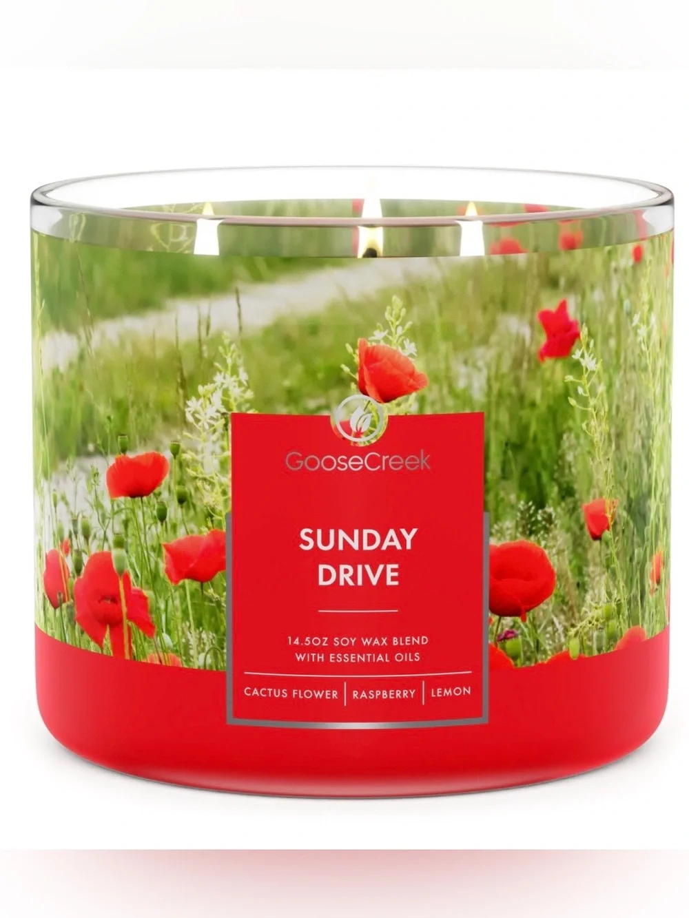 Goose Creek Sunday Drive  3 Wick  Candle 14.5 oz Jar Cactus Flower Raspberry New
