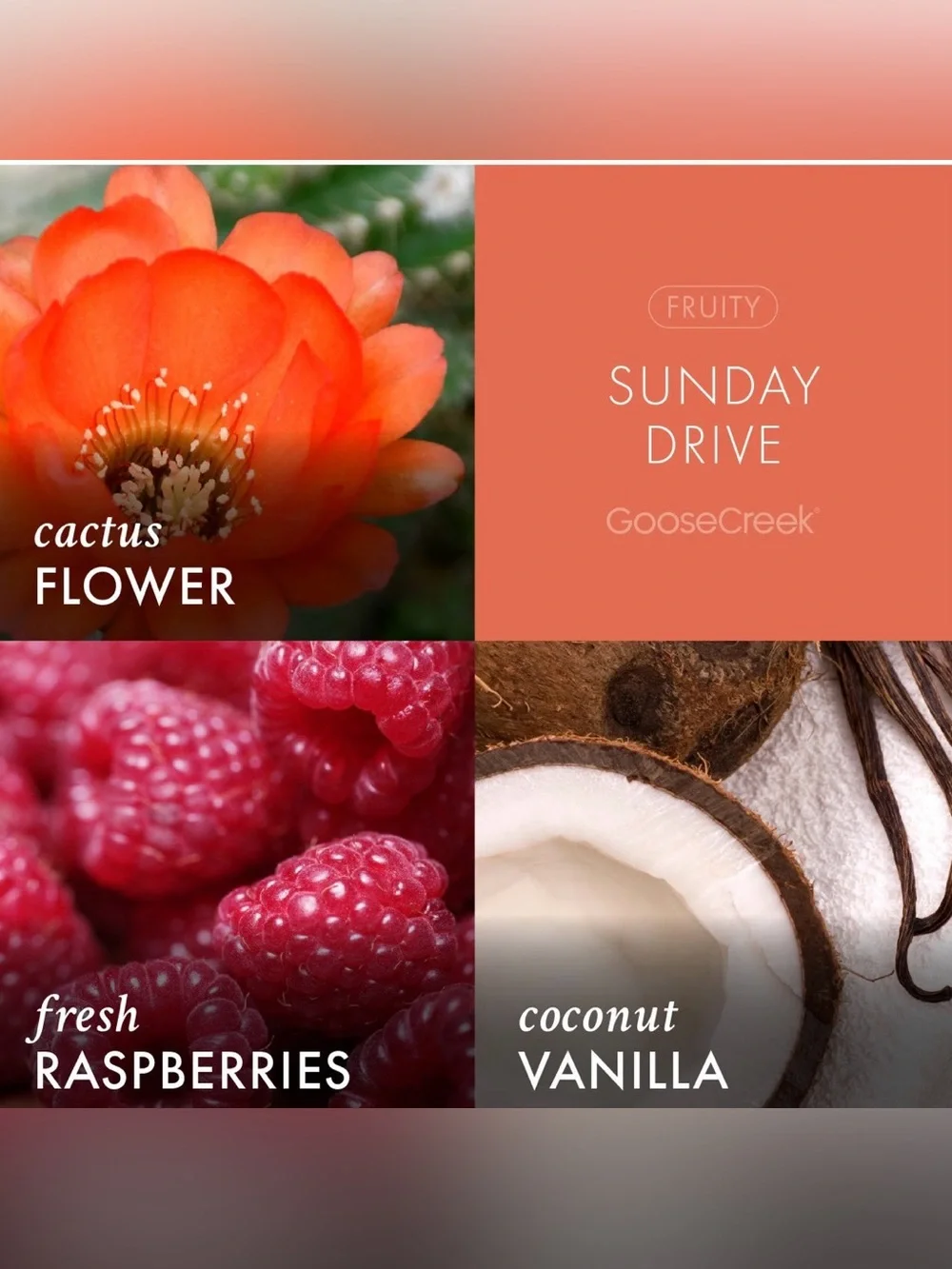 Goose Creek Sunday Drive  3 Wick  Candle 14.5 oz Jar Cactus Flower Raspberry New