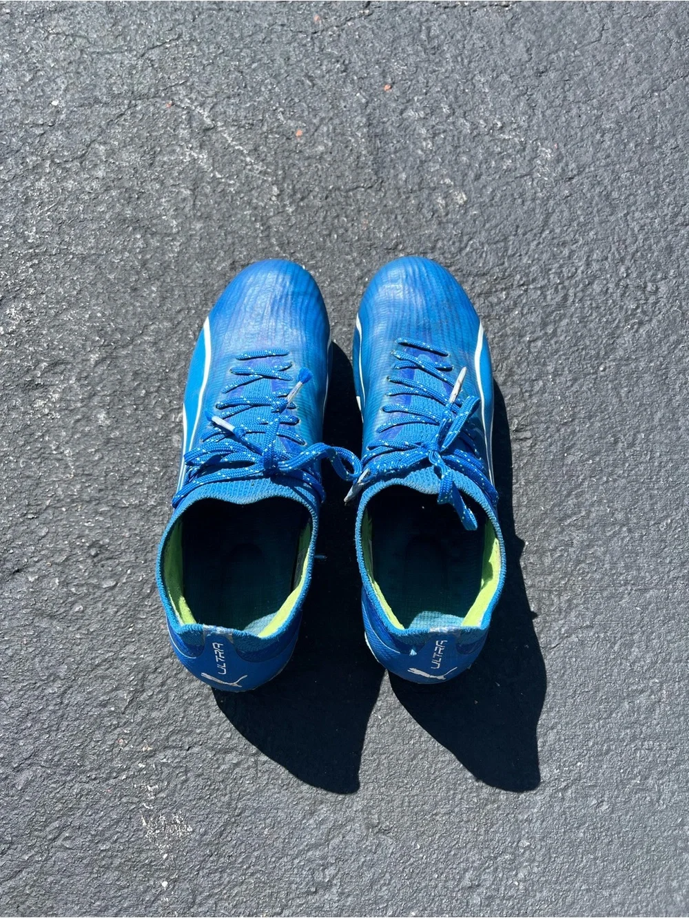 Puma puma’s high