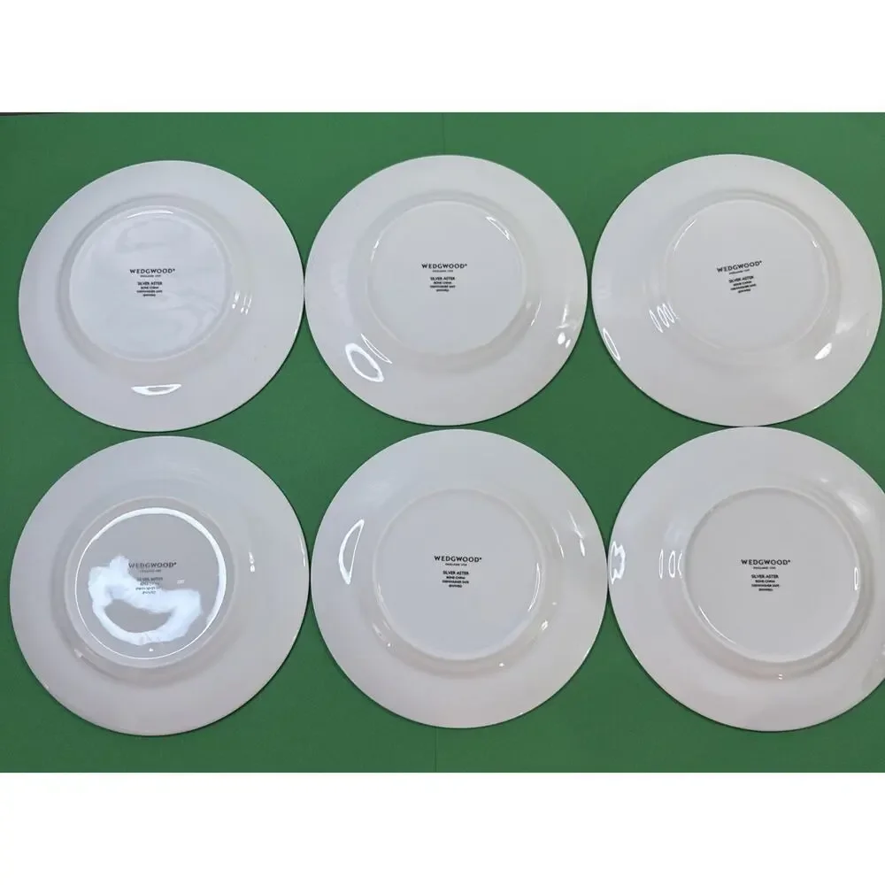 Wedgwood silver aster