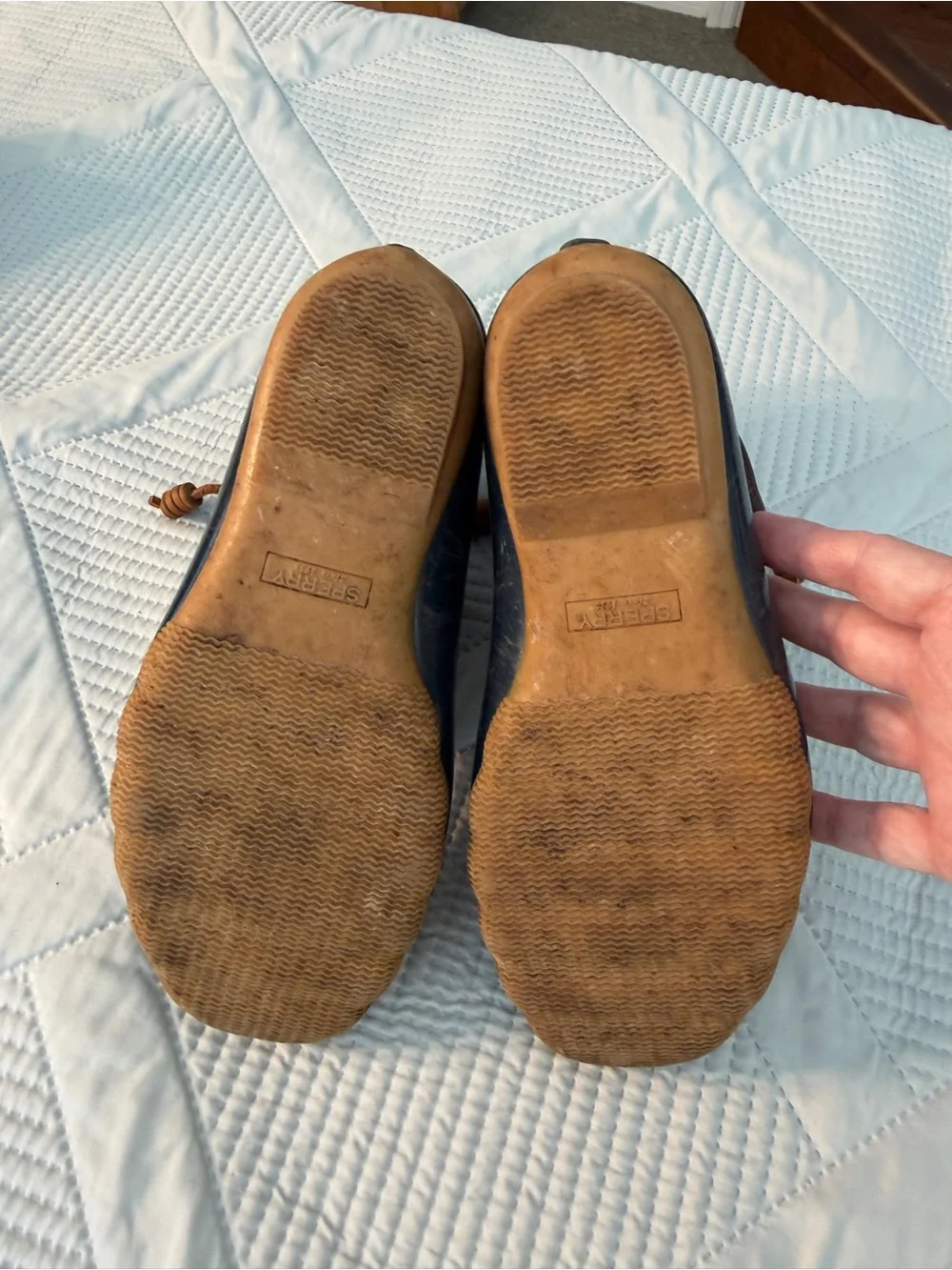 Sperry waterproof navy
