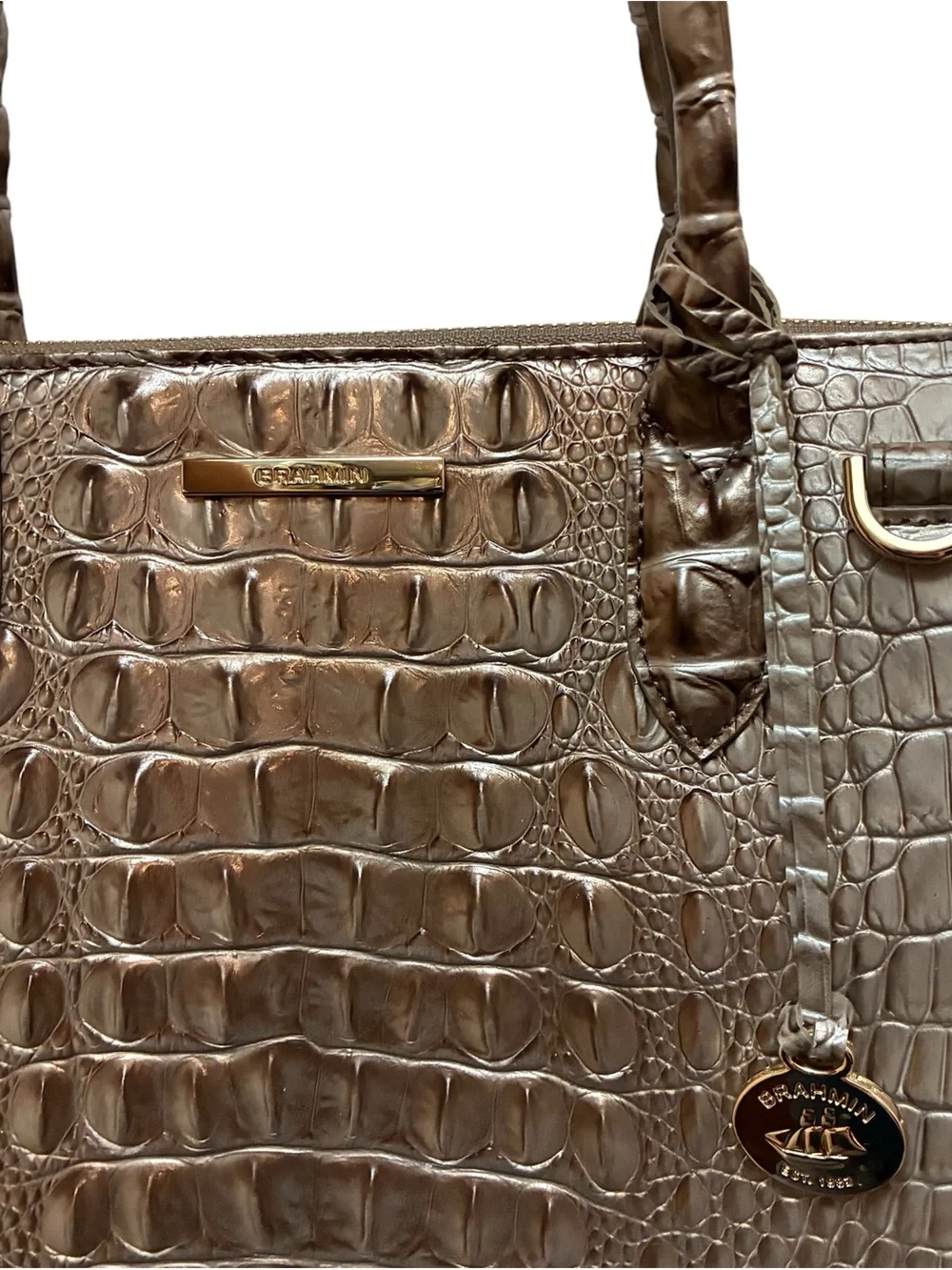 Brahmin caroline silver