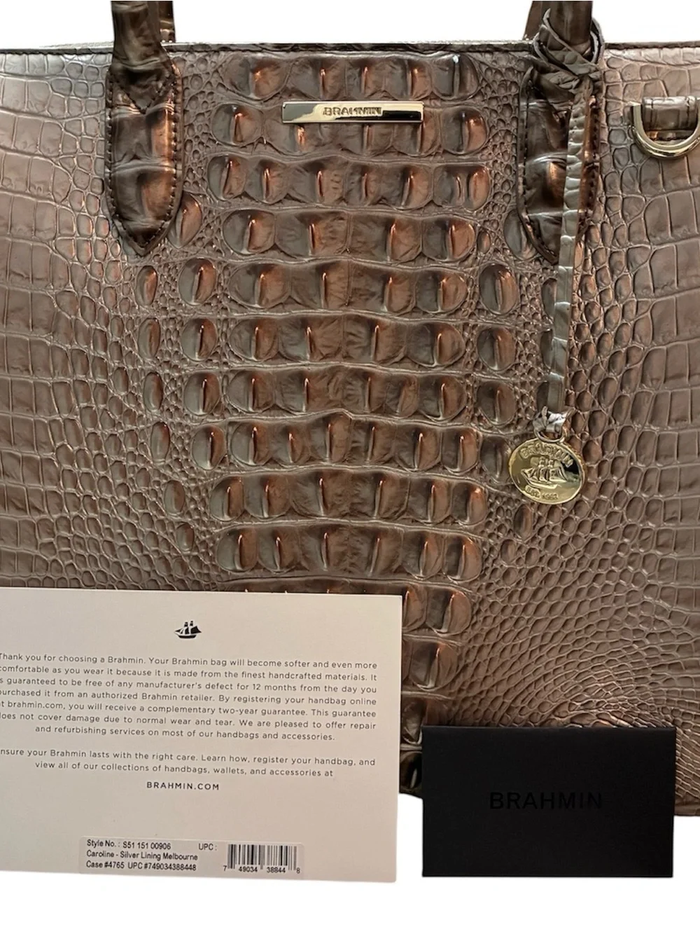 Brahmin caroline silver