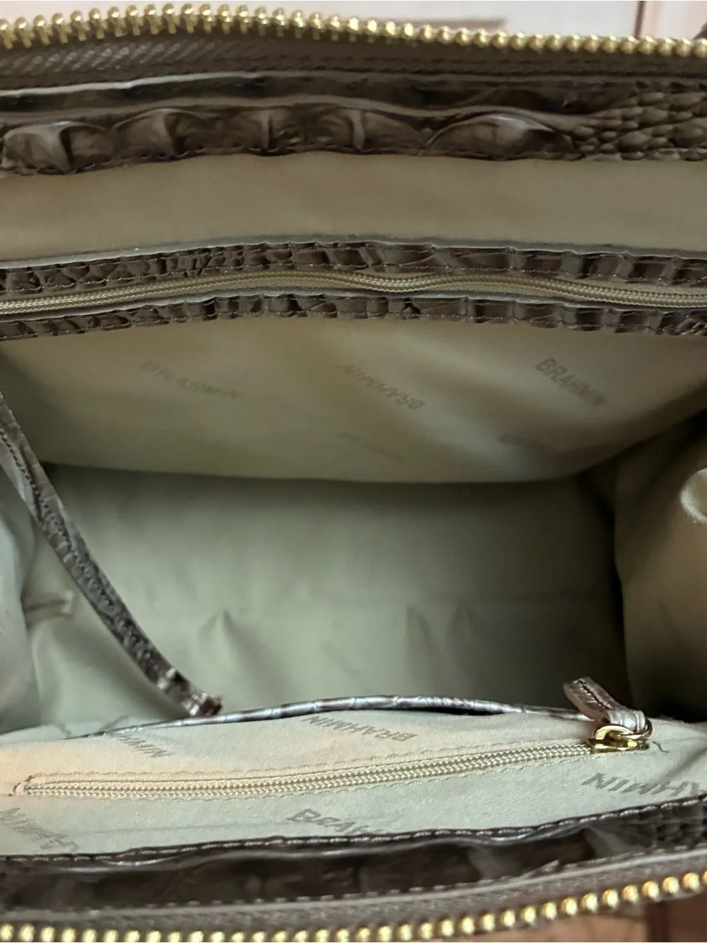 Brahmin caroline silver