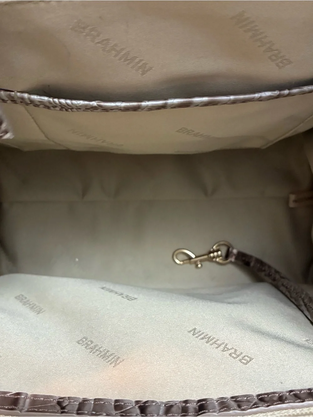 Brahmin caroline silver
