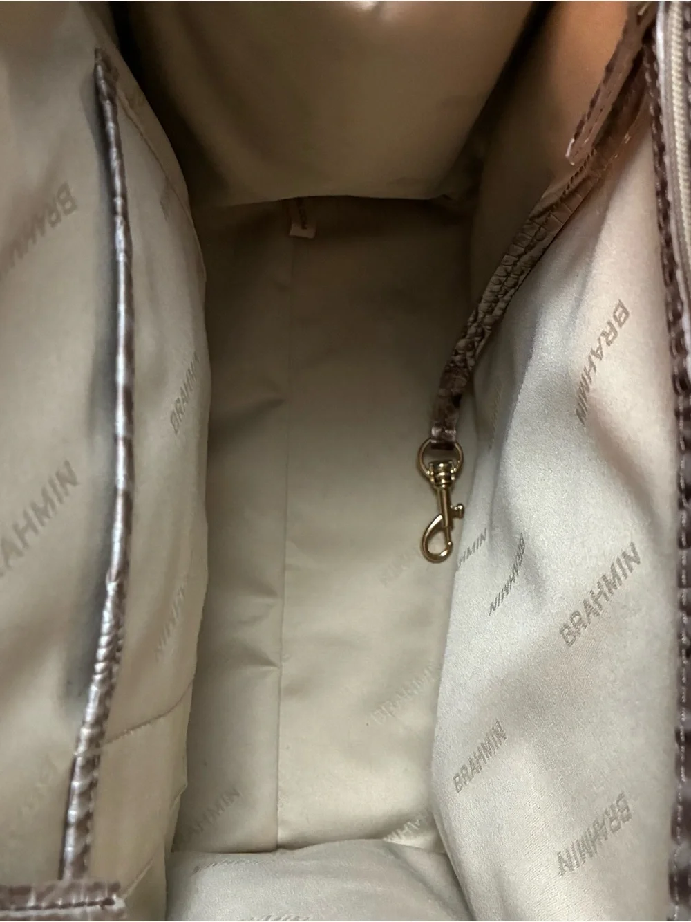 Brahmin caroline silver