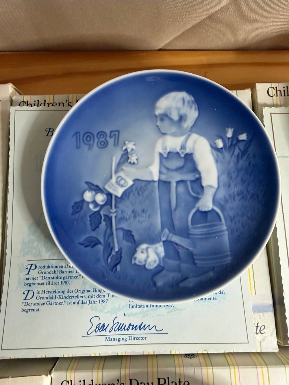 Bing & Grondahl incredible instant