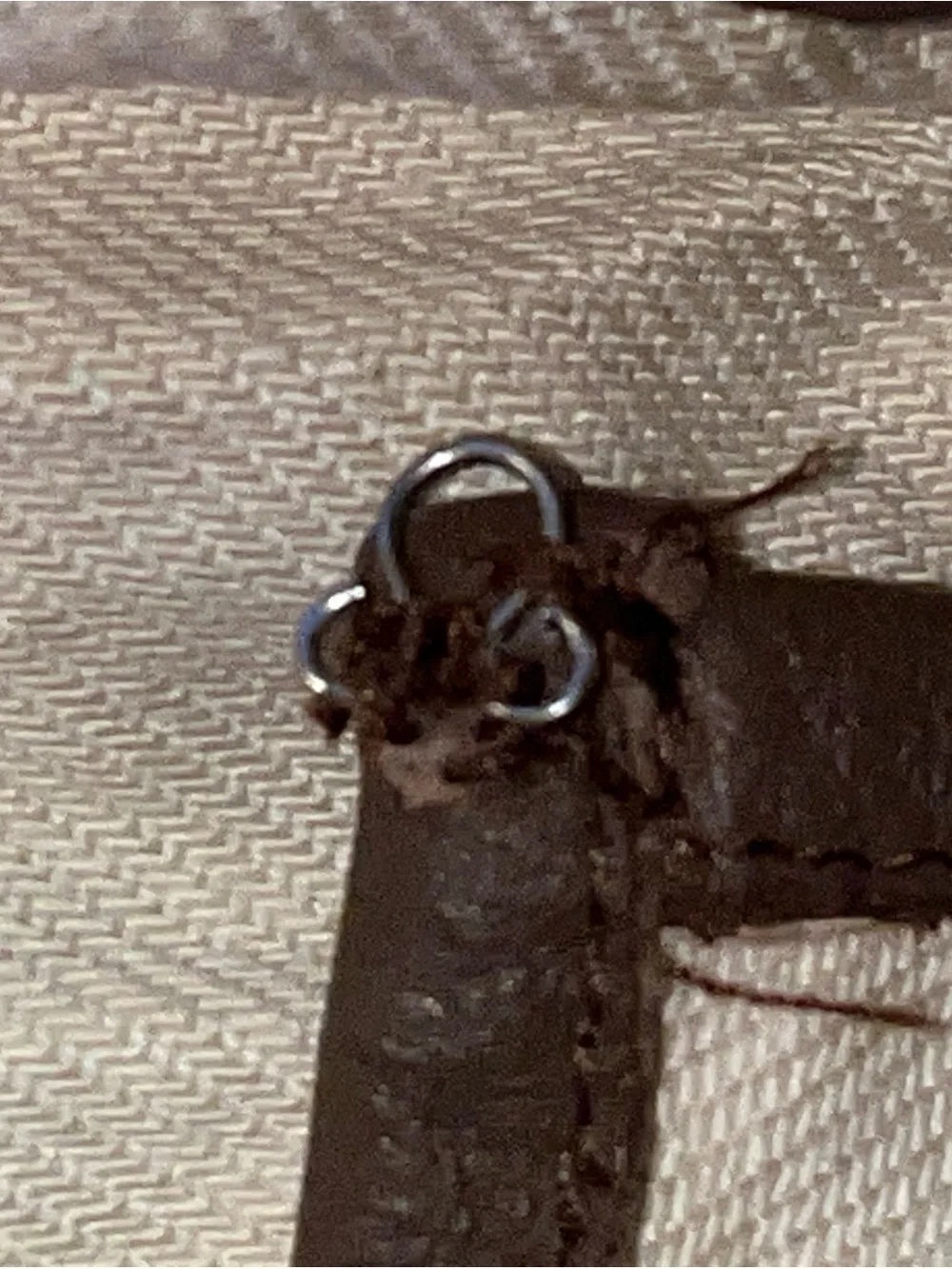 Kate Spade New York drop waist dress with brown trim