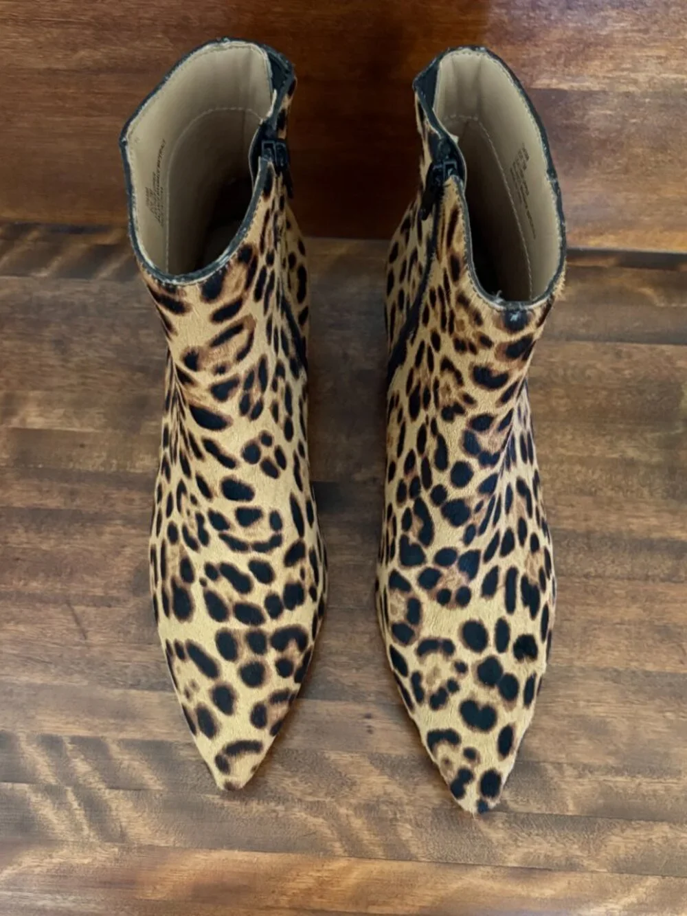 Rachel Zoe rachel zoe