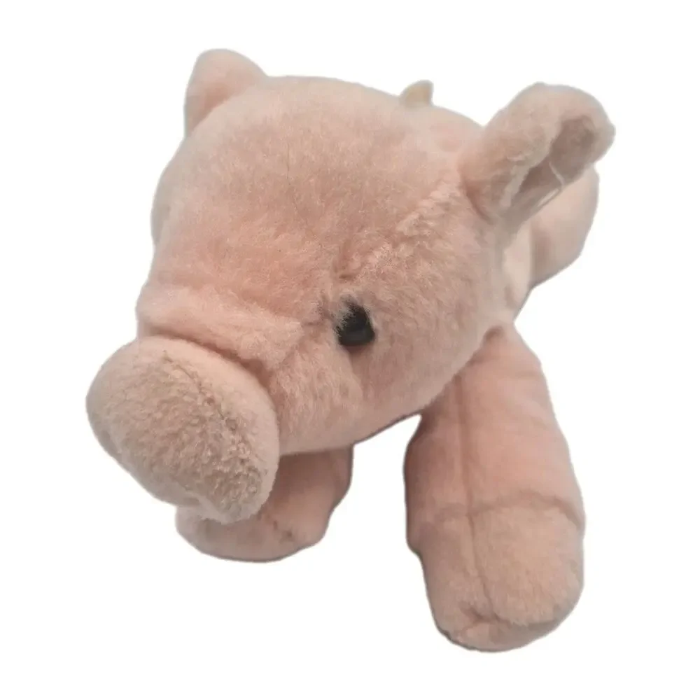Aurora percy pig