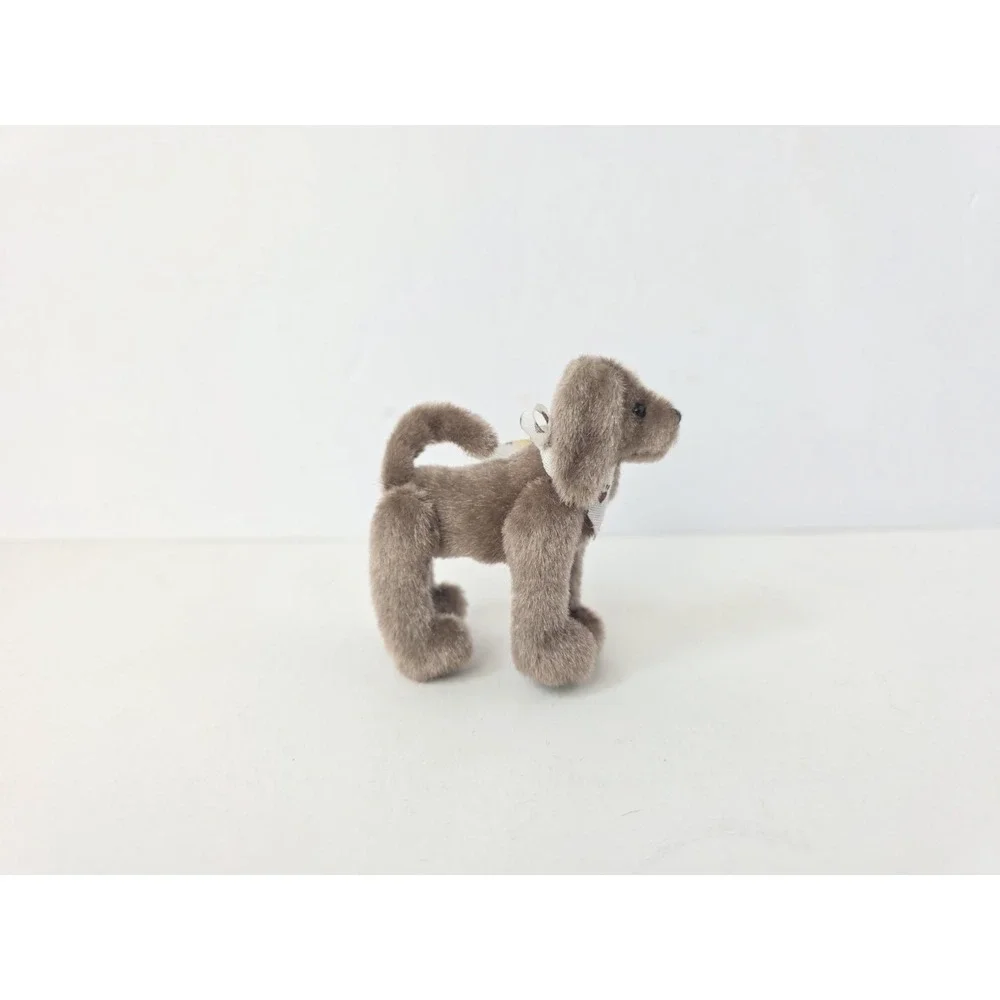 N/A miniature dog