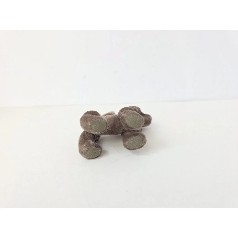 N/A miniature dog