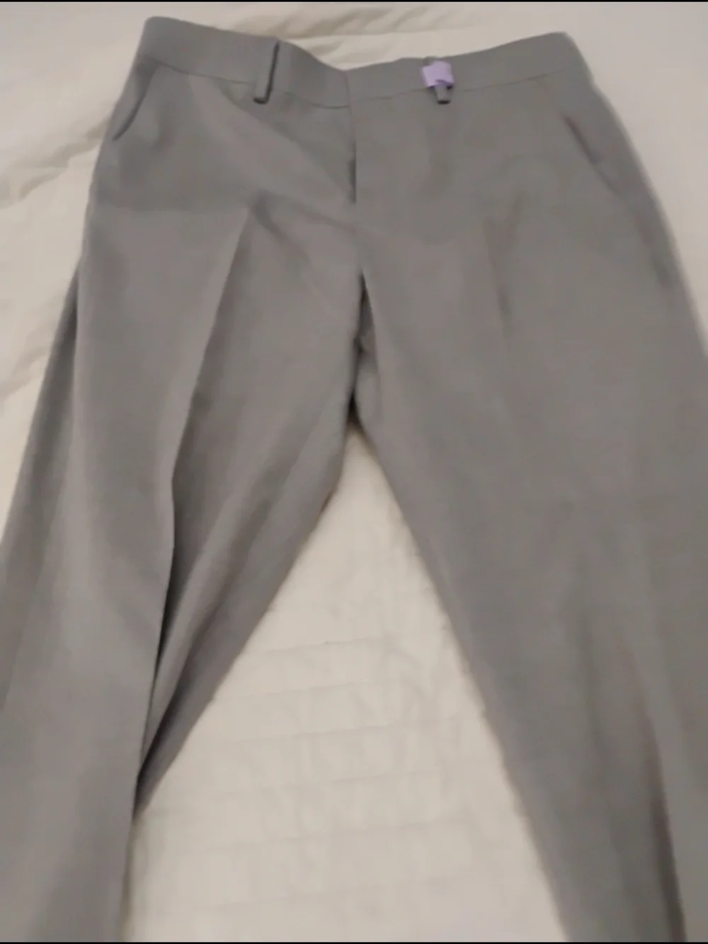 Classic Light Gray Dress Pants