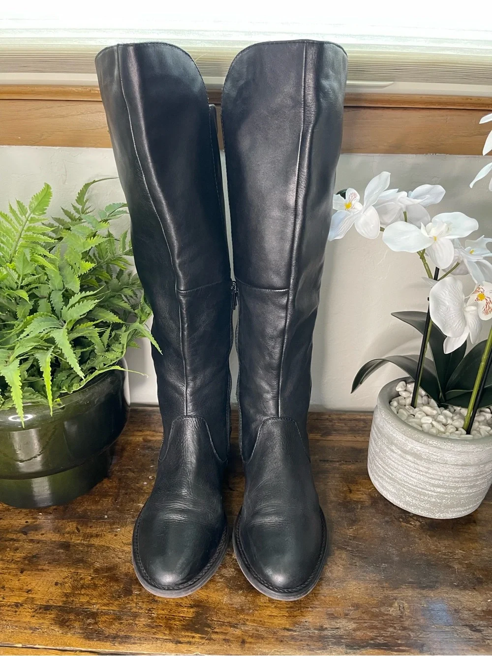 Steve Madden classic knee