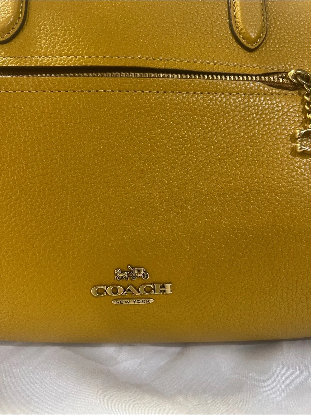 Coach structured pebble