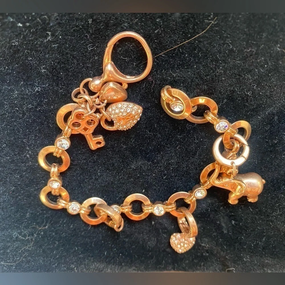 Fossil rose gold
