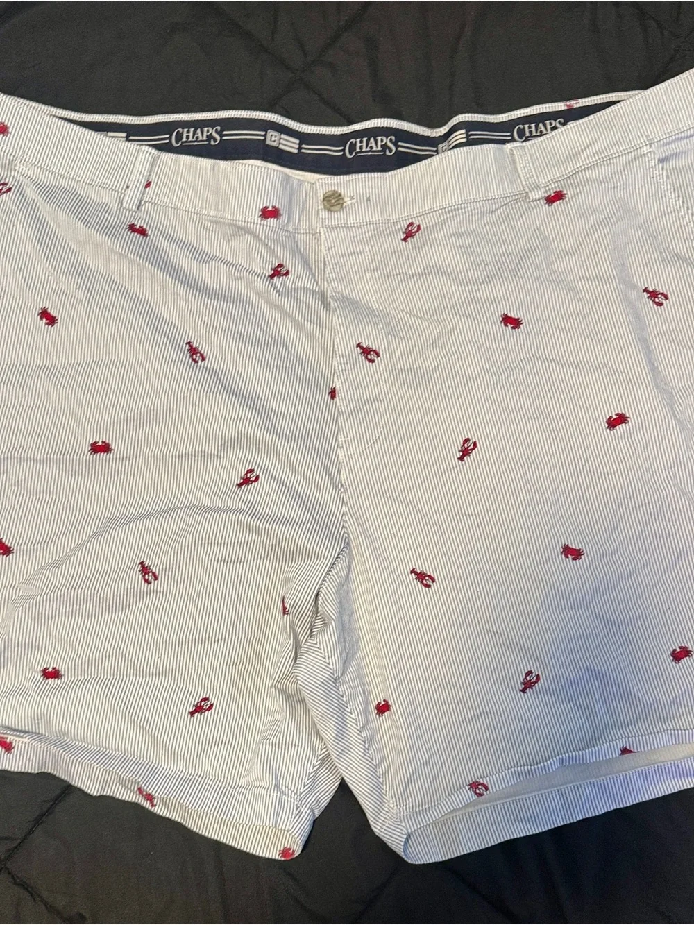 Chaps Blue-and-White Striped Shorts with Red Embroidery