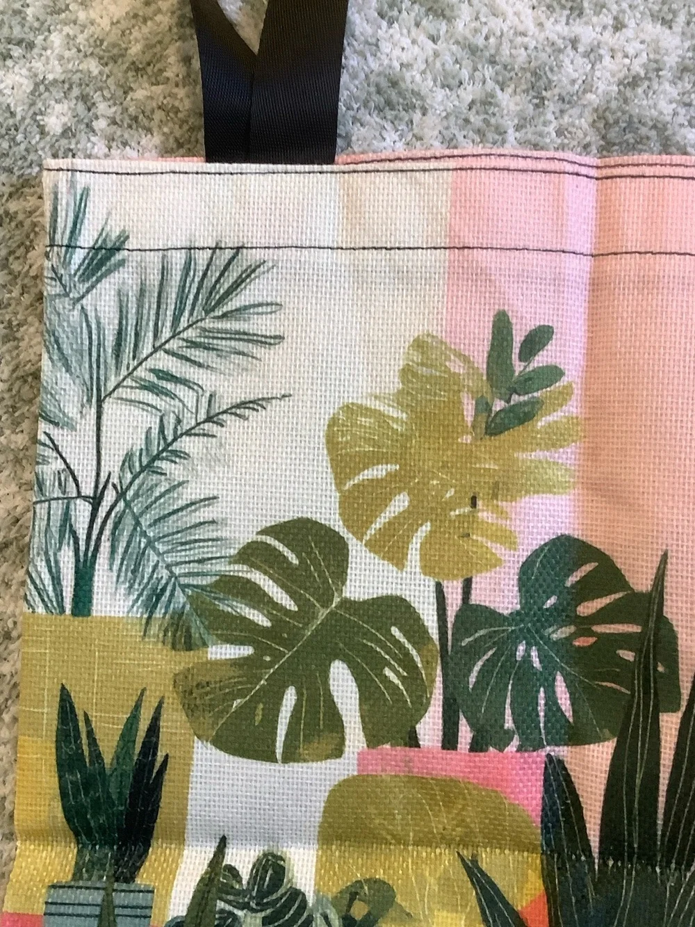 Unbranded stylish canvas
