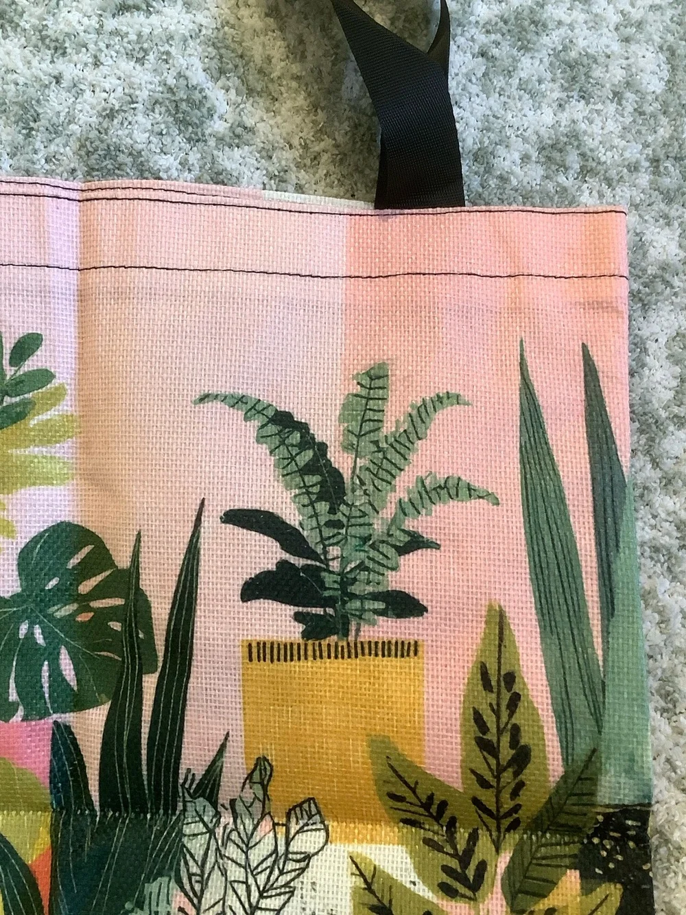 Unbranded stylish canvas