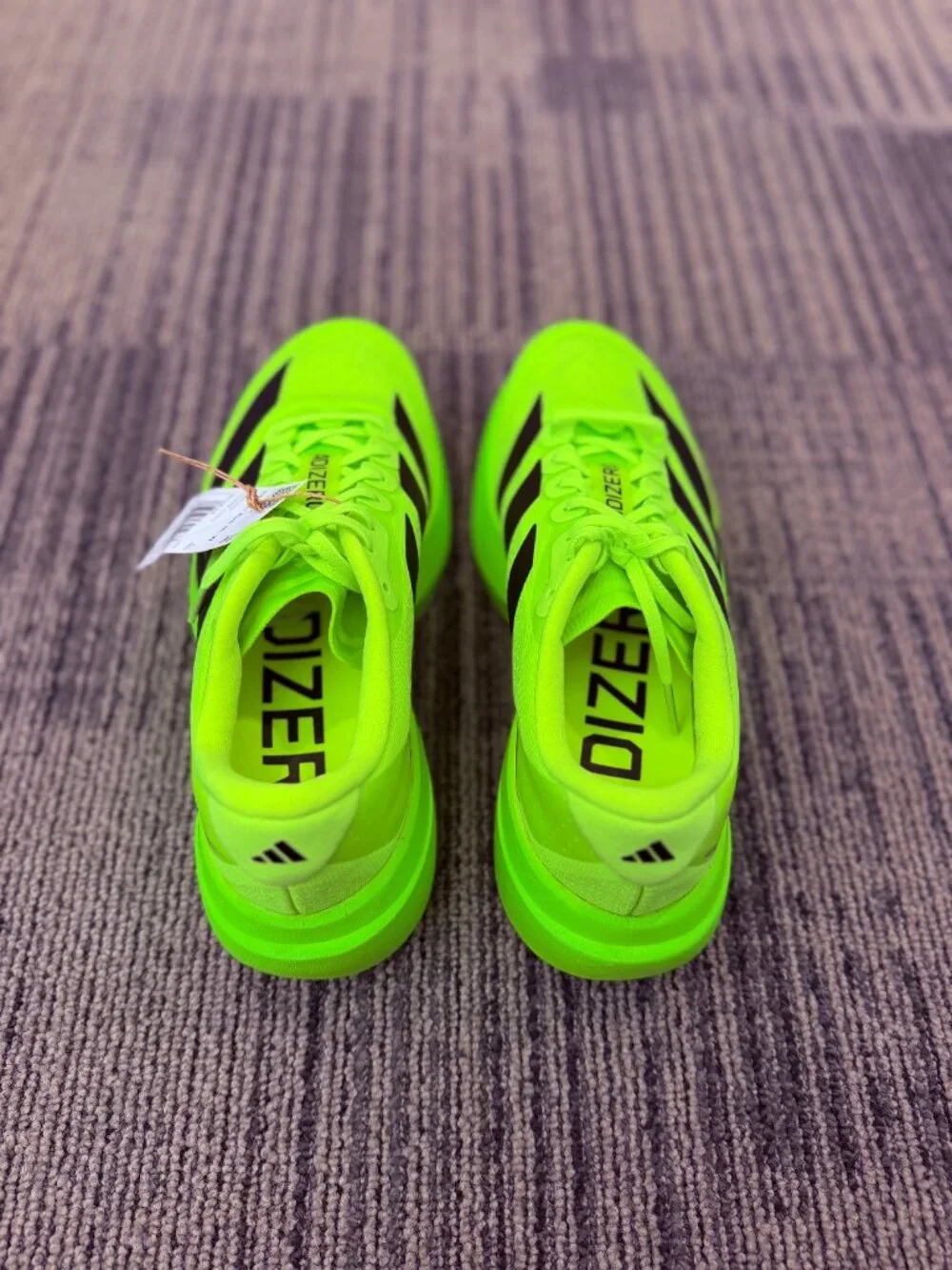 adidas women new
