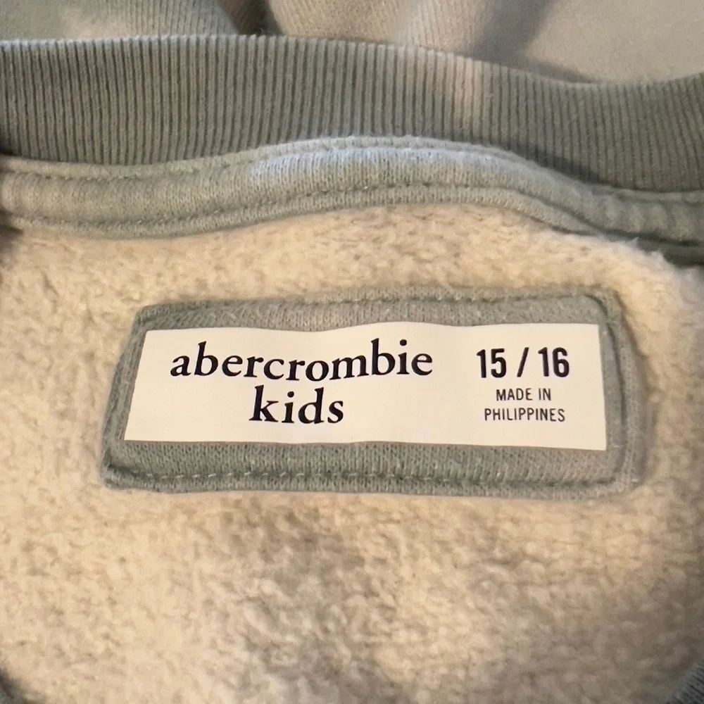 abercrombie kids size 15