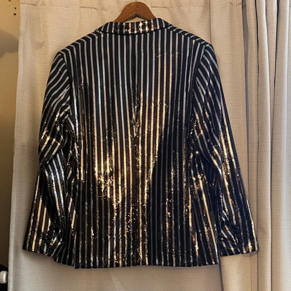 Zara Black and Silver Striped Sequin Blazer