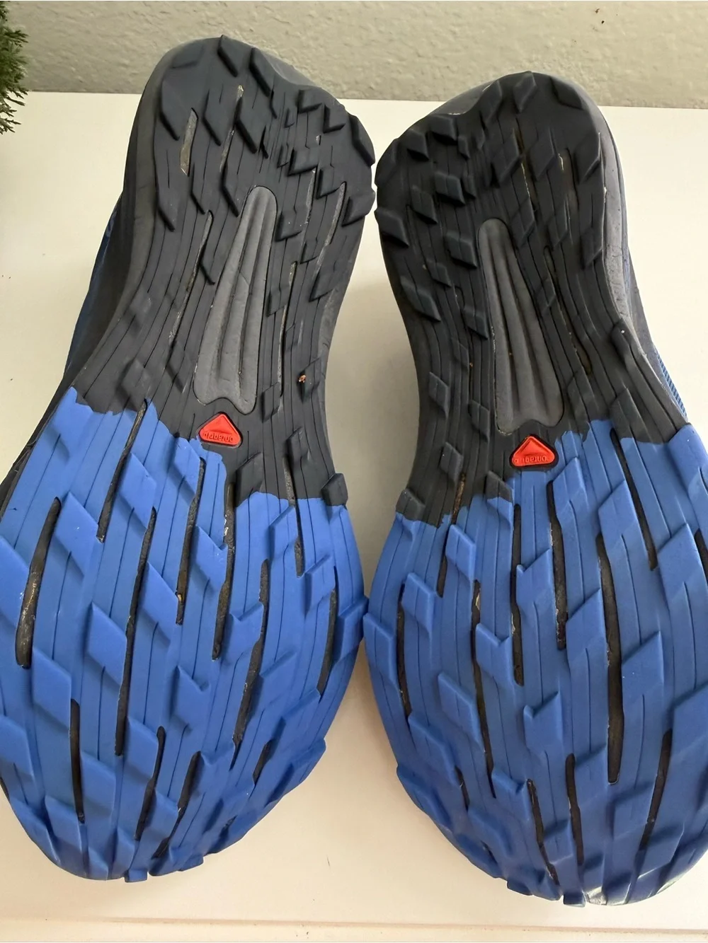 Salomon used good