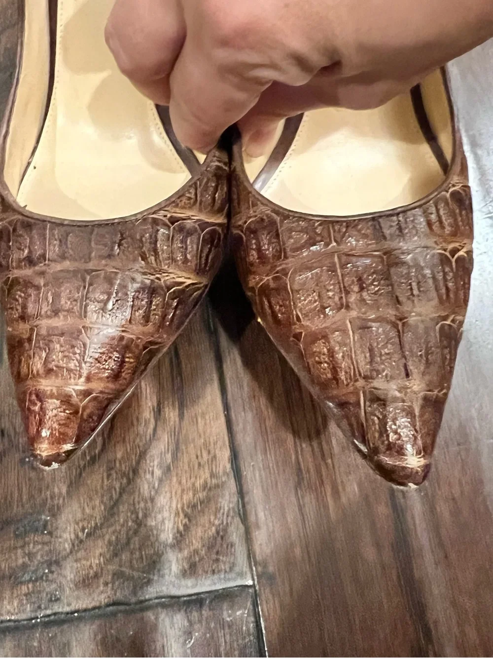 Alexandre Birman Brown Croc-Embossed Pointed Toe Stiletto Pumps
