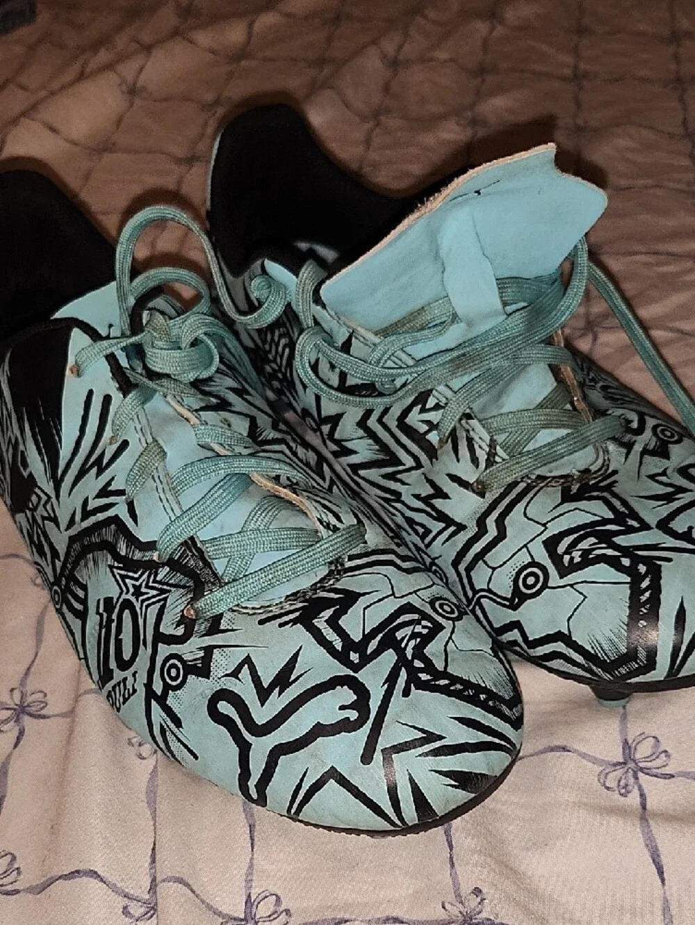 Puma eye catching