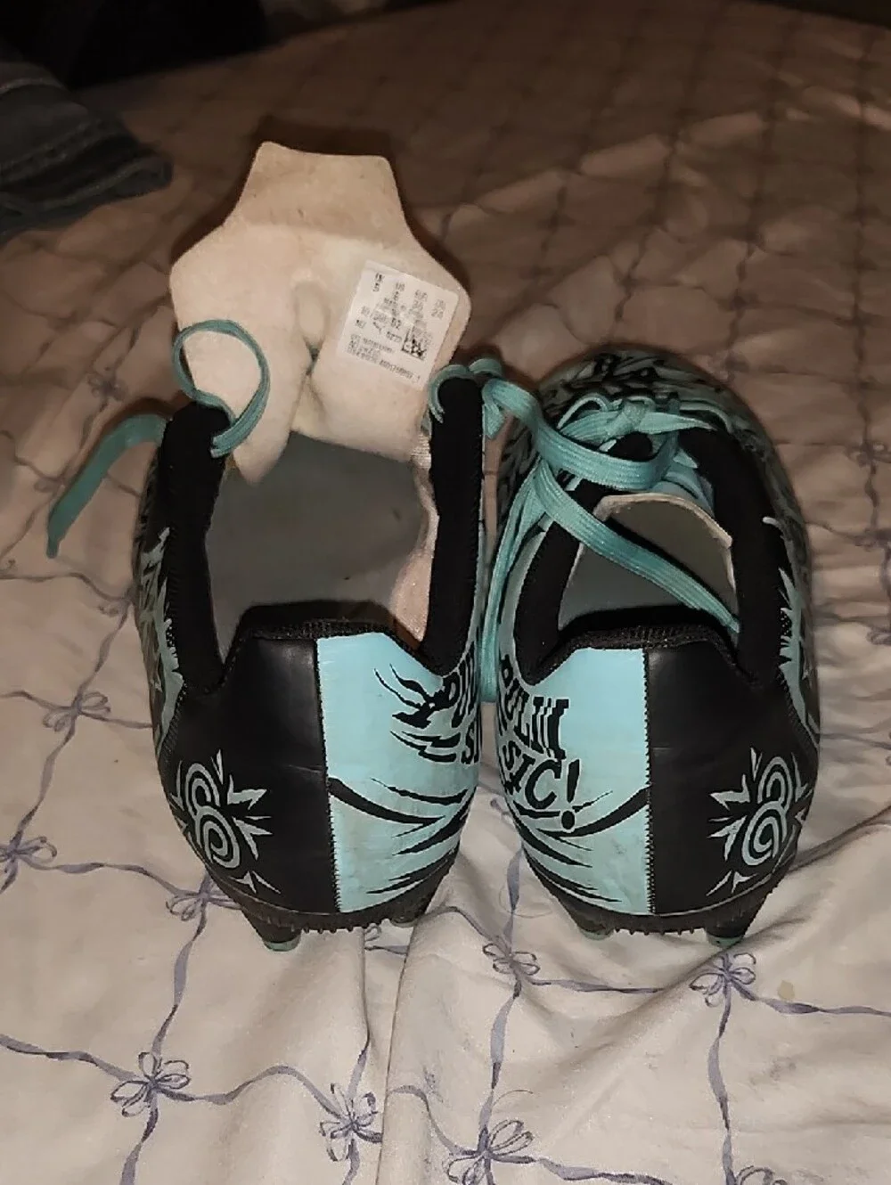 Puma eye catching