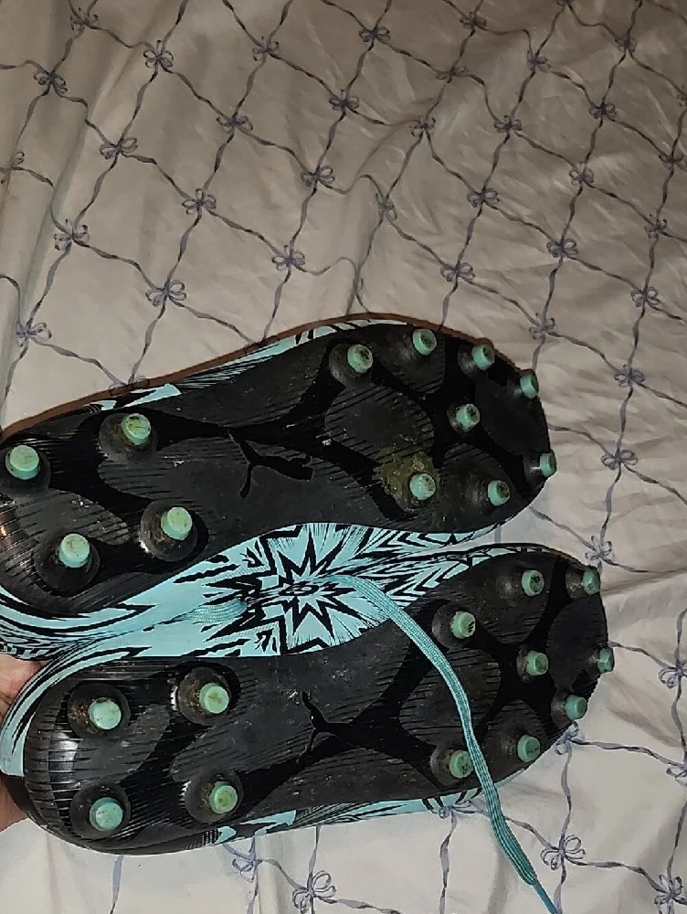 Puma eye catching