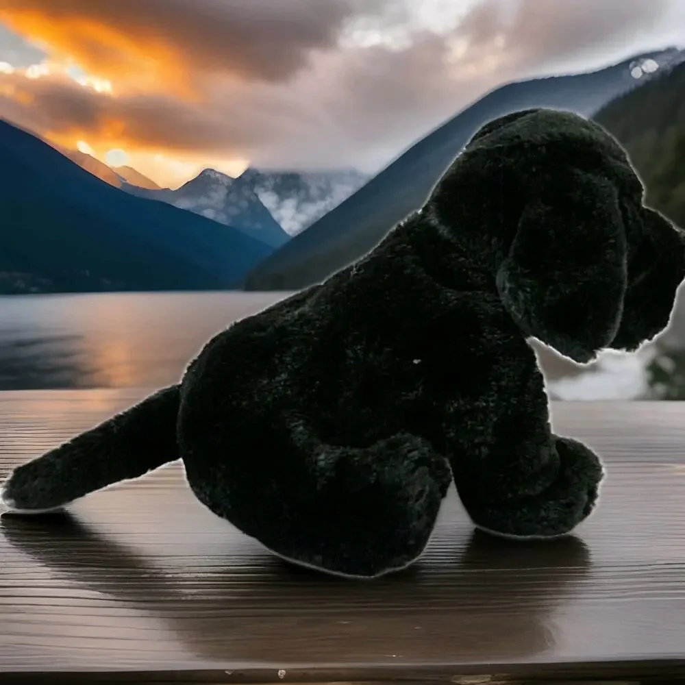 GANZ webkinz black