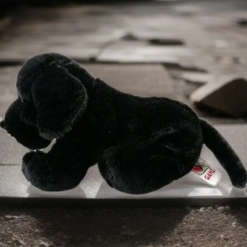 GANZ webkinz black