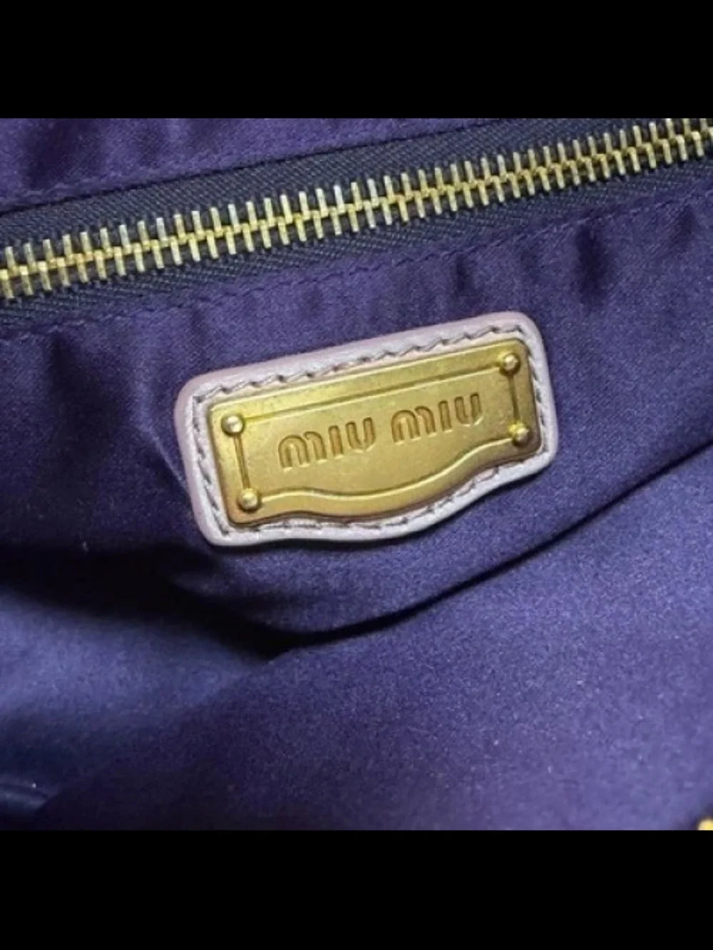 Miu Miu designer miu