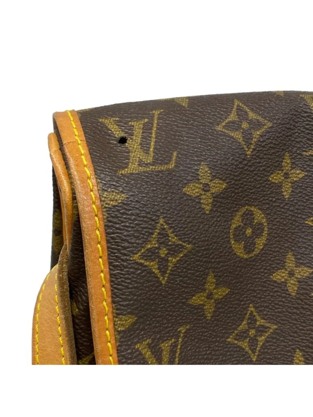 Louis Vuitton brand louis