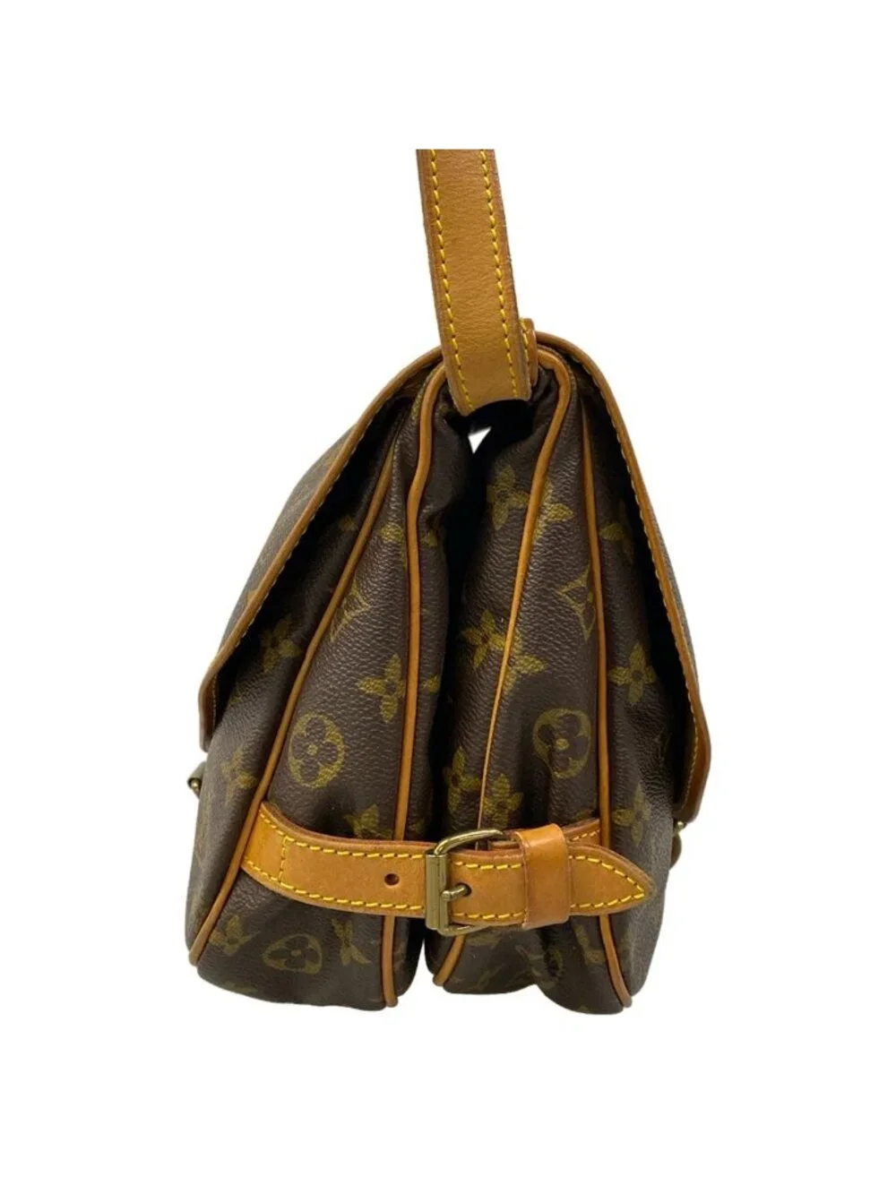 Louis Vuitton brand louis