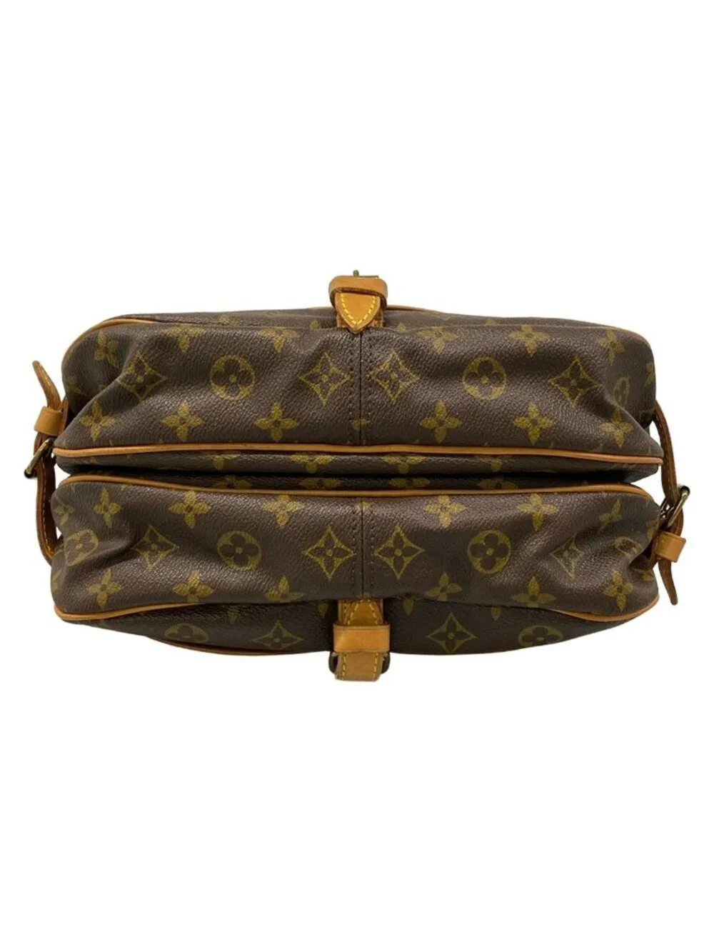 Louis Vuitton brand louis