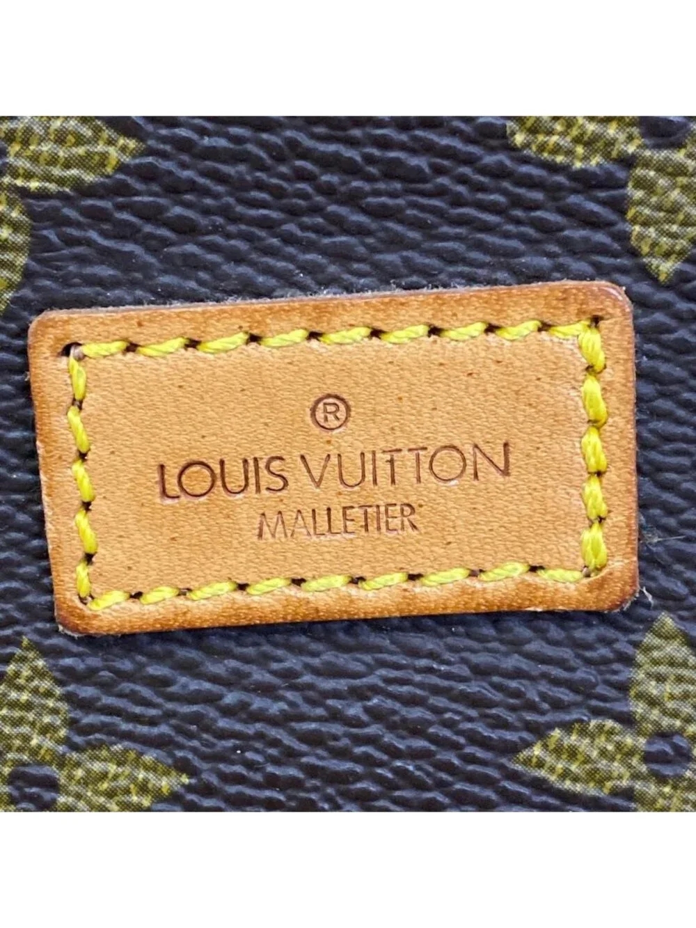 Louis Vuitton brand louis