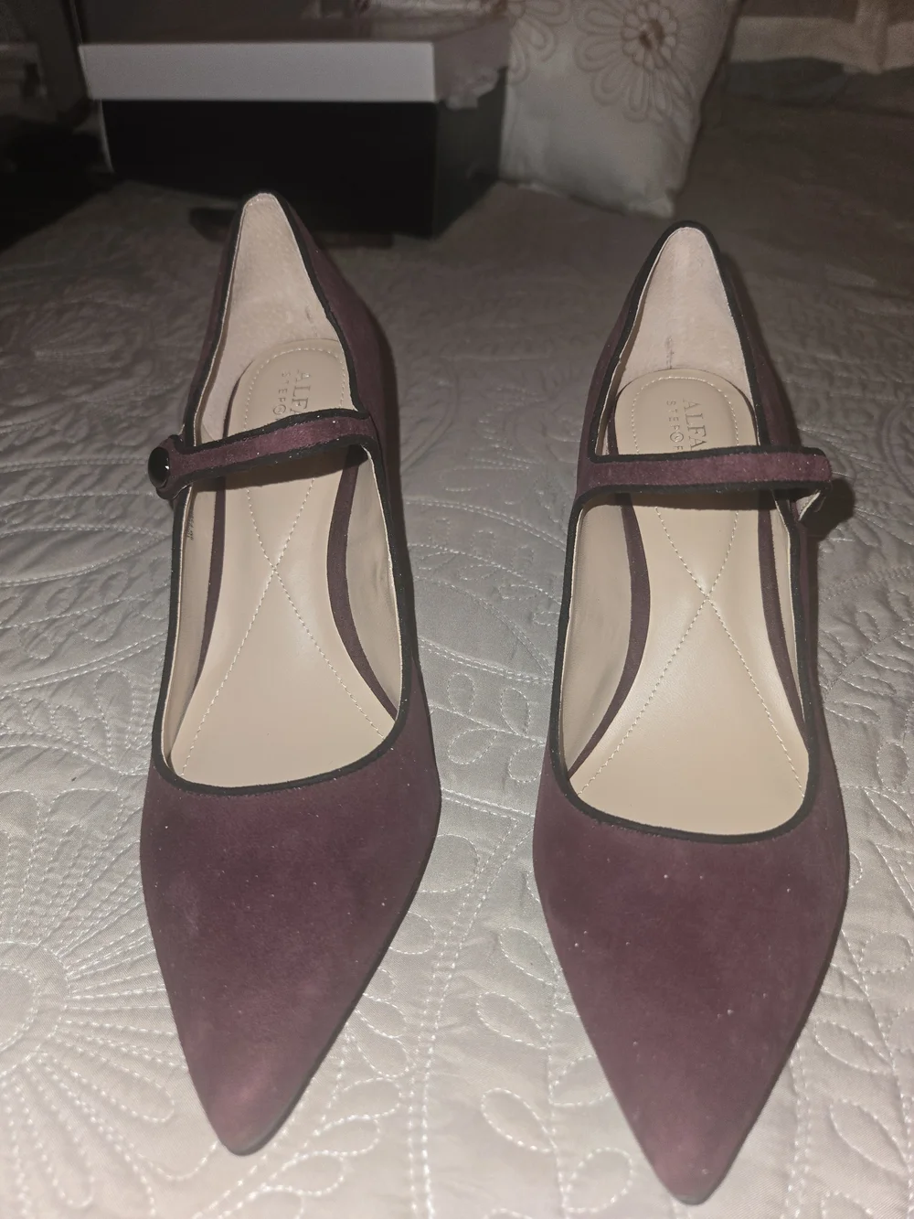 Alfani women pointed