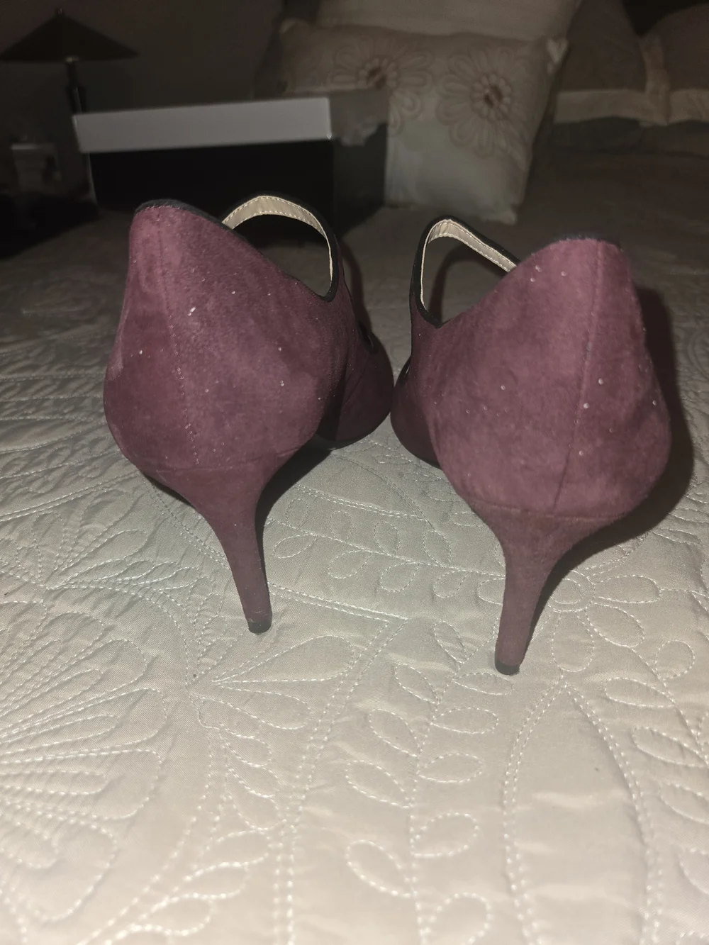 Alfani women pointed