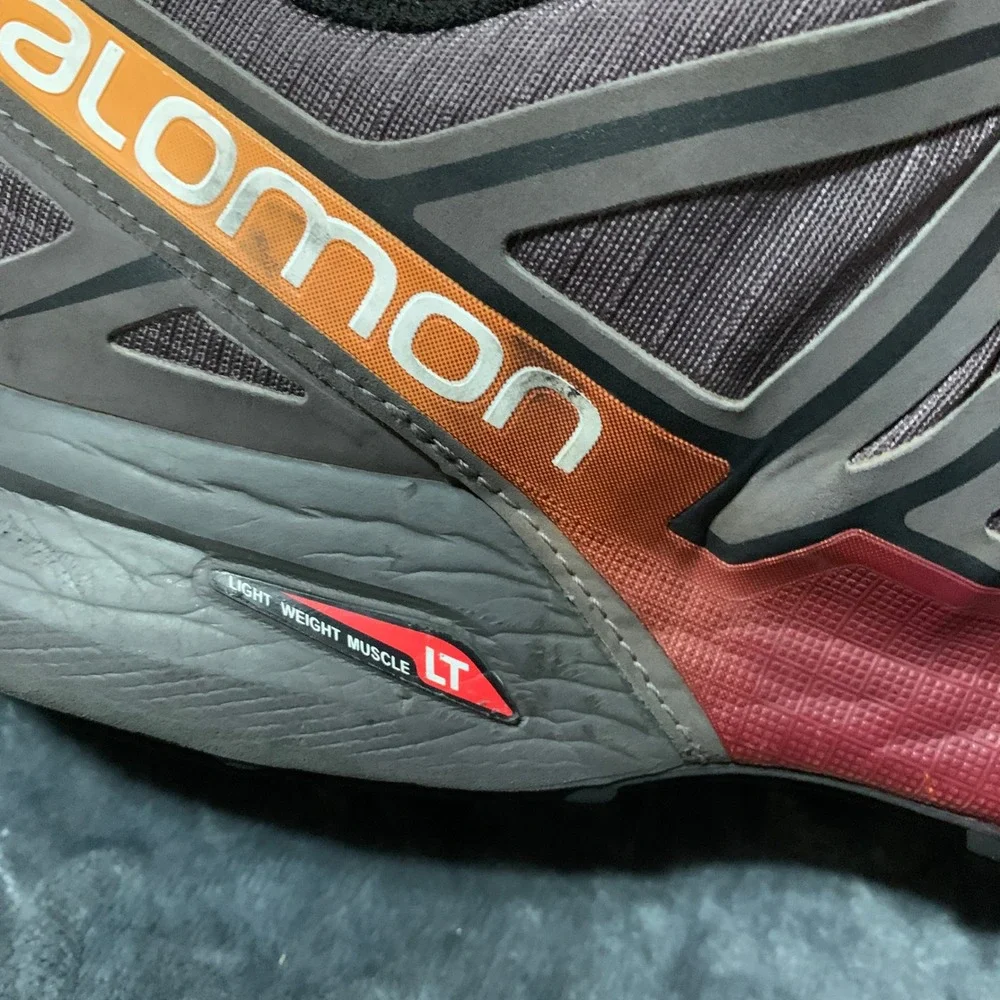 Salomon flaw missing