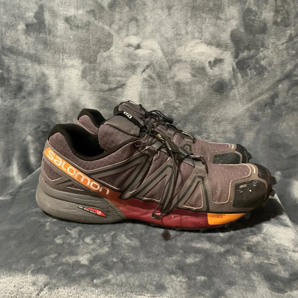 Salomon flaw missing