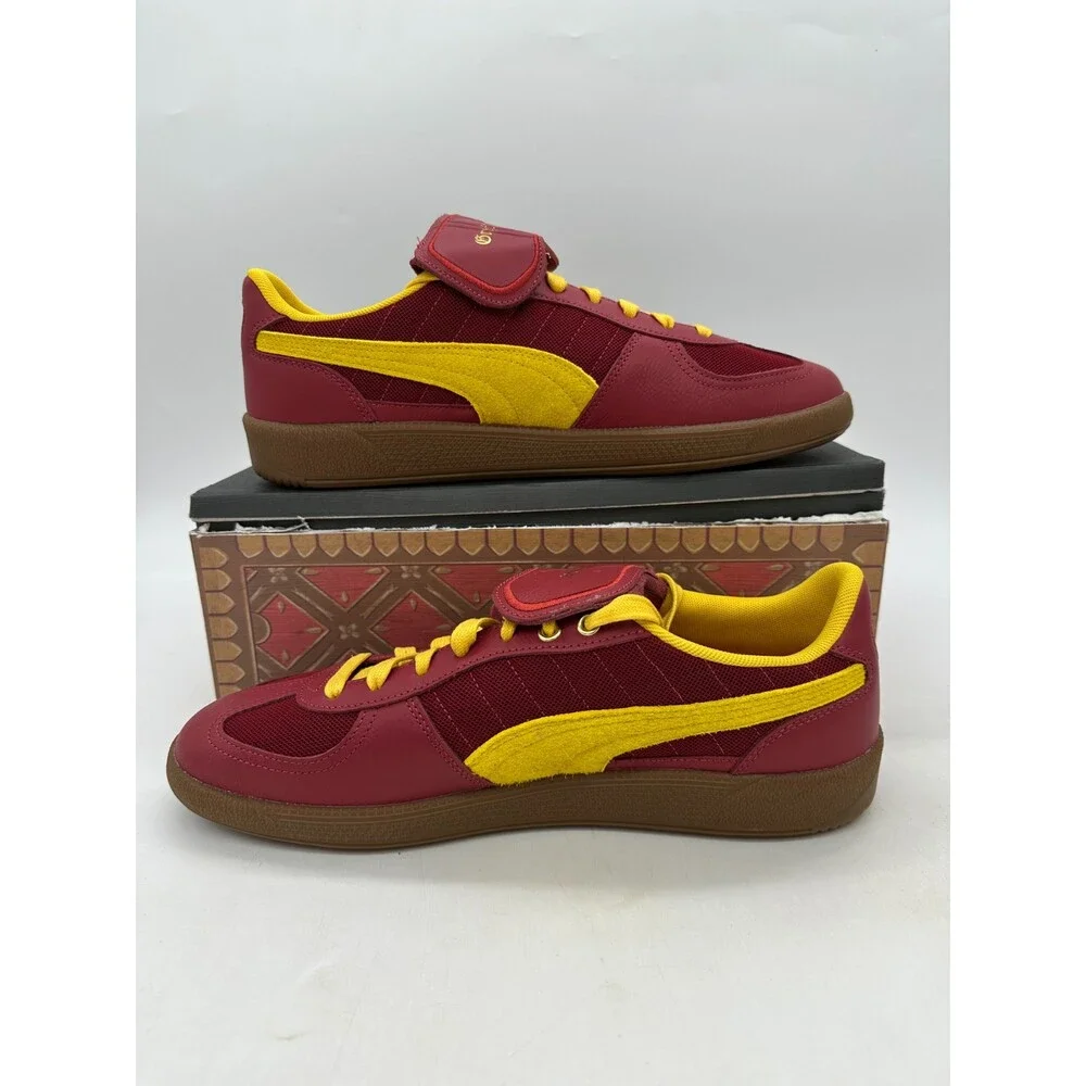 Puma brand model