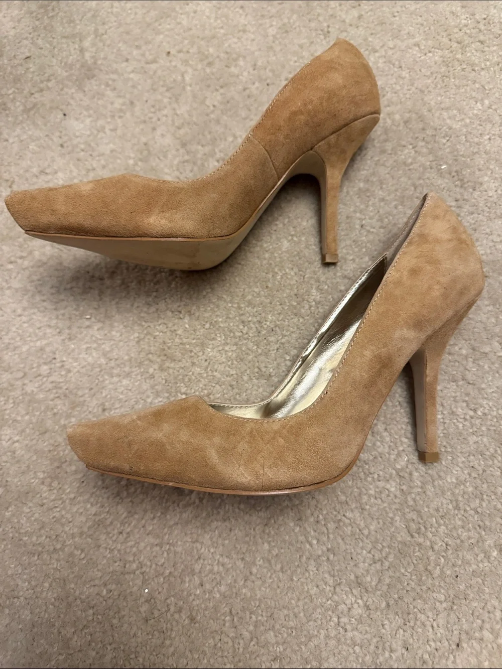 bebe sleek pointed