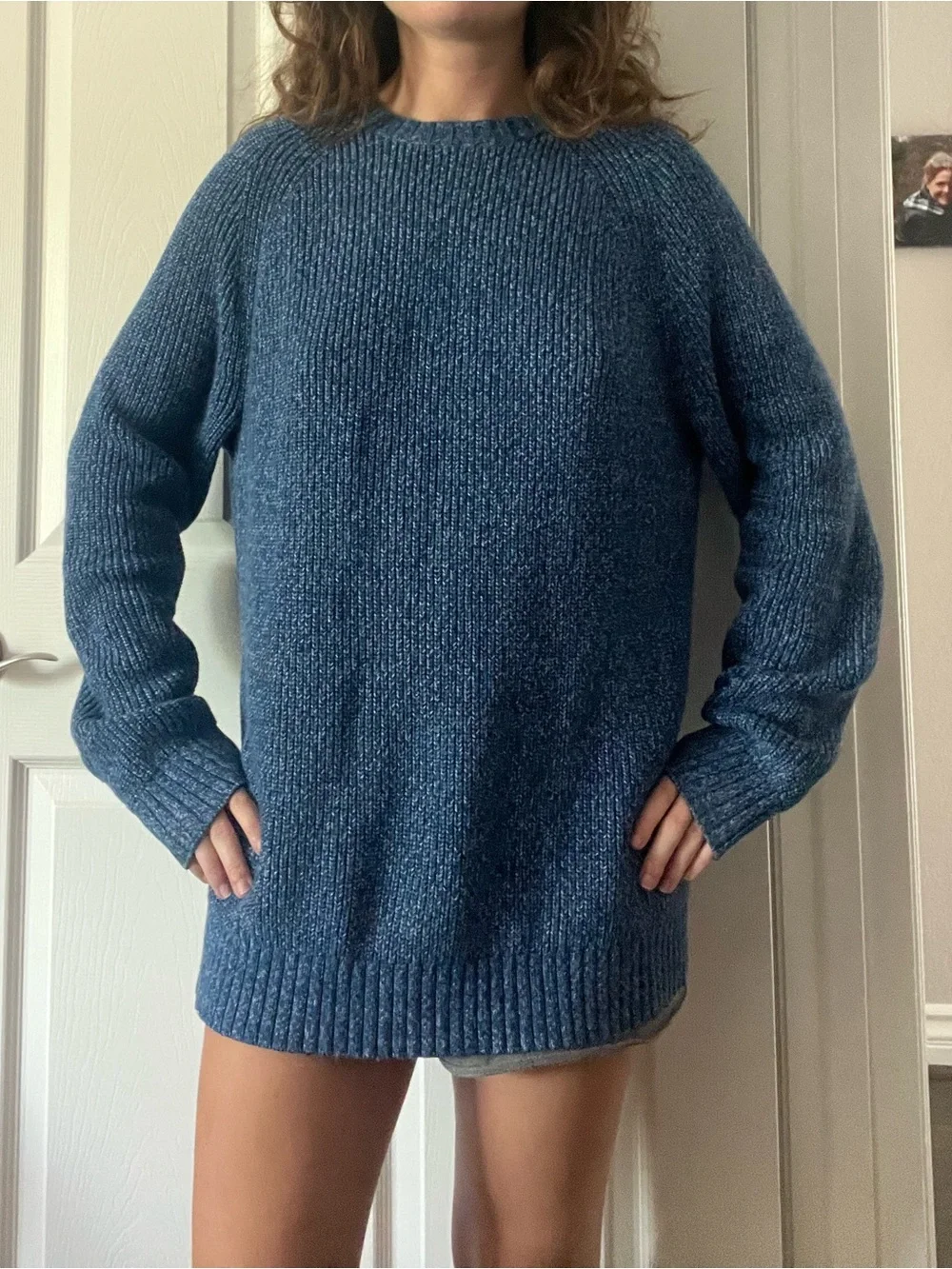 NWOT Banana Republic Knit Crewneck Sweater