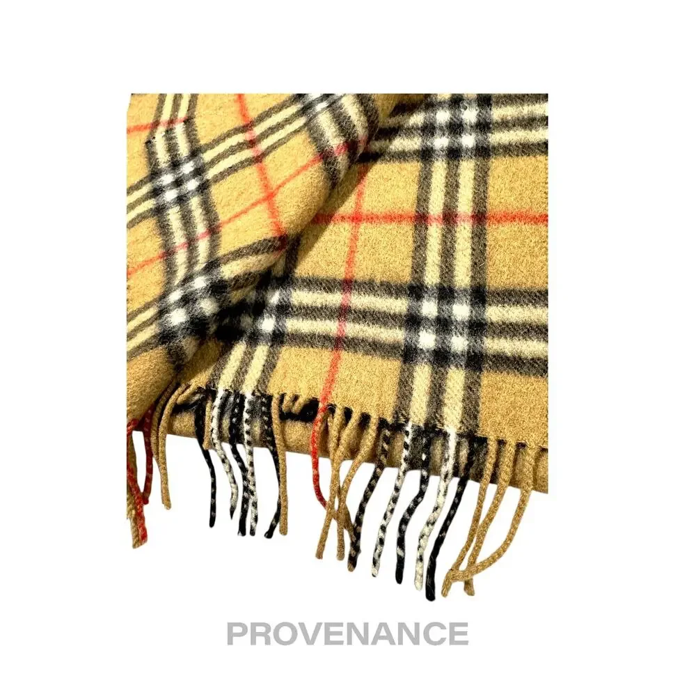 Burberry back england
