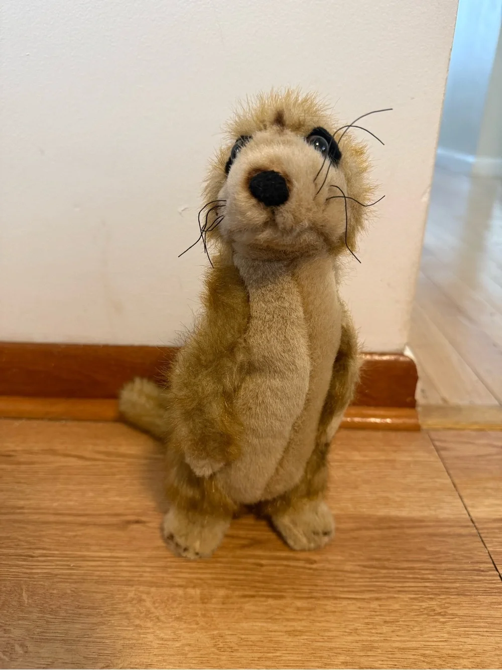 Fiesta Meerkat Realistic Plush WWF Stuffed Animal Adoption Promo 10.25