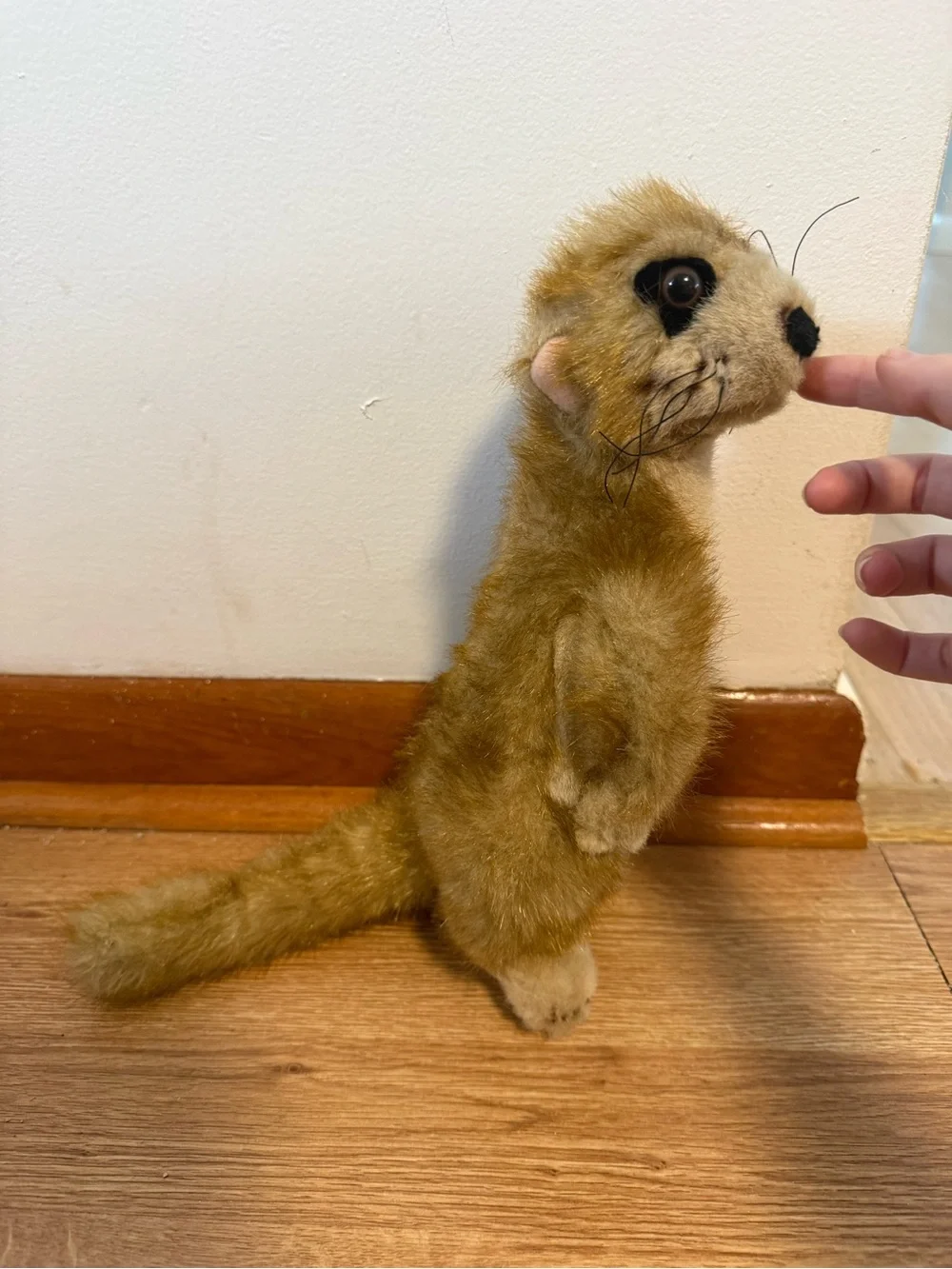 Fiesta Meerkat Realistic Plush WWF Stuffed Animal Adoption Promo 10.25
