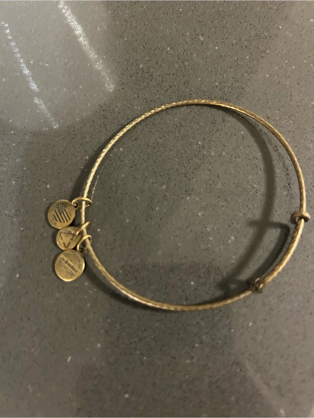 Alex and Ani Classic Gold-Tone Charm Bangle Bracelet